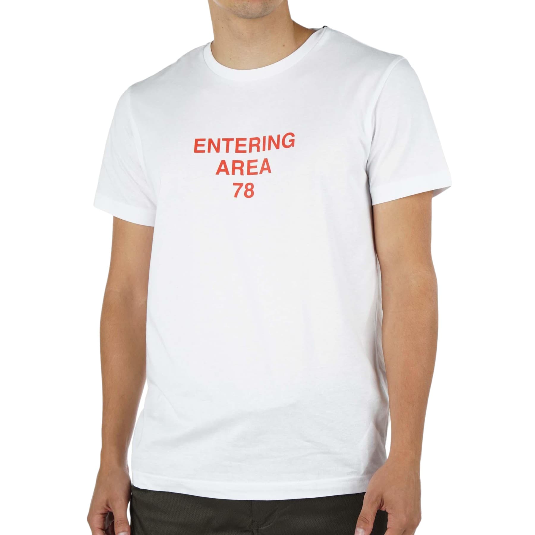 Diesel T-Diegos-K25 white mens T-shirt front view with printed chest design