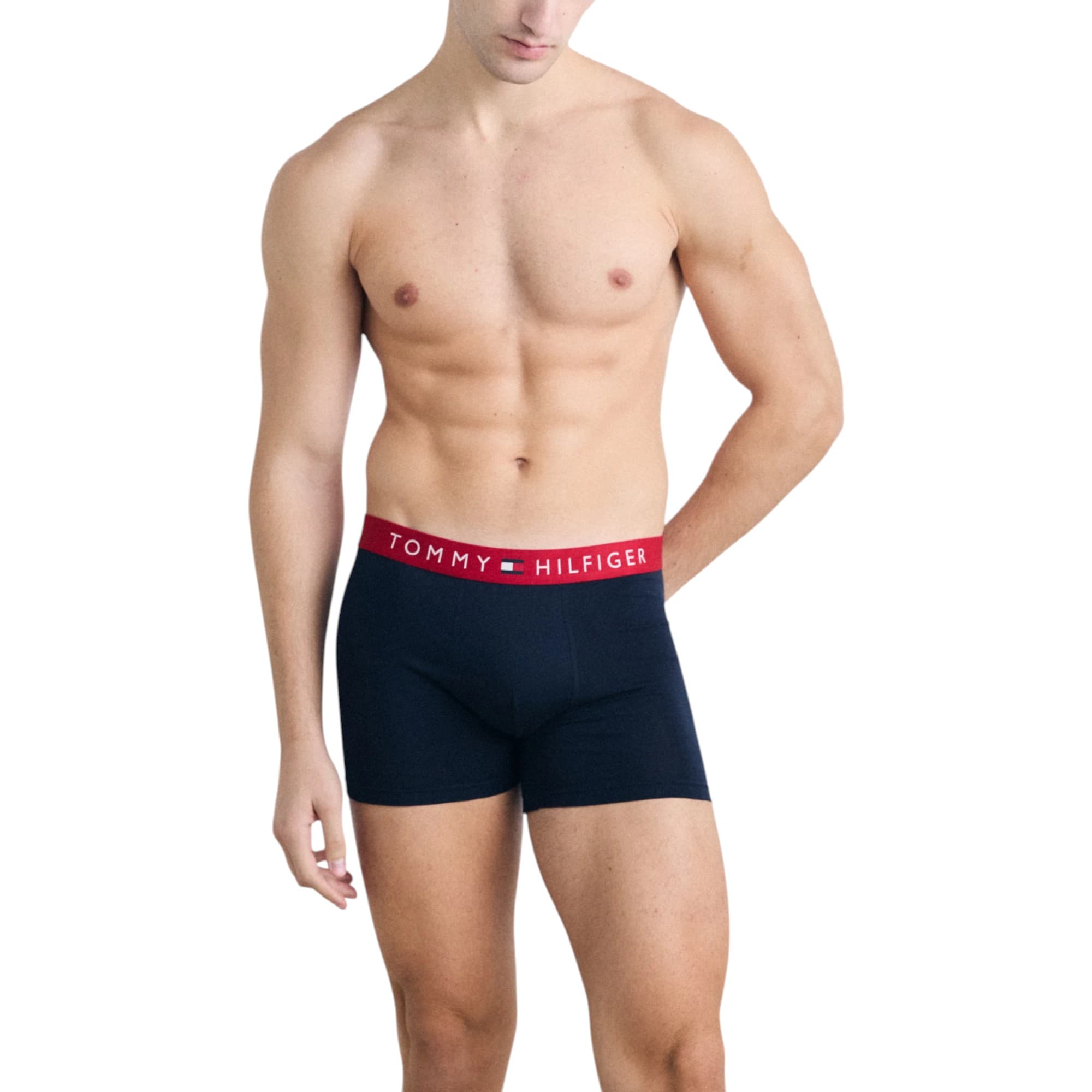 Tommy Hilfiger men's wine red trunks front view with logo waistband