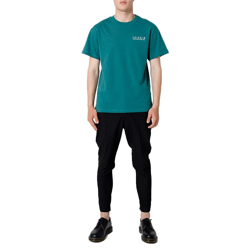 FAIRDIM light green 100% cotton men's crew neck t-shirt with printed logo, front view