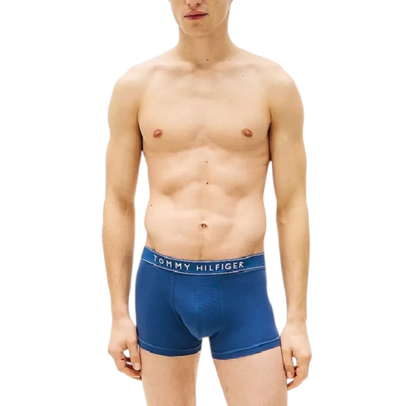 tommy hilfiger mens hipster trunks...
