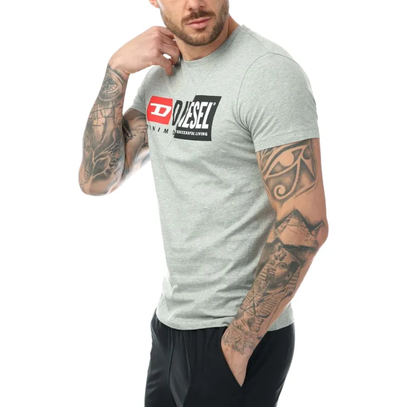 diesel t-diego-cuty logo mens t shirts grey3