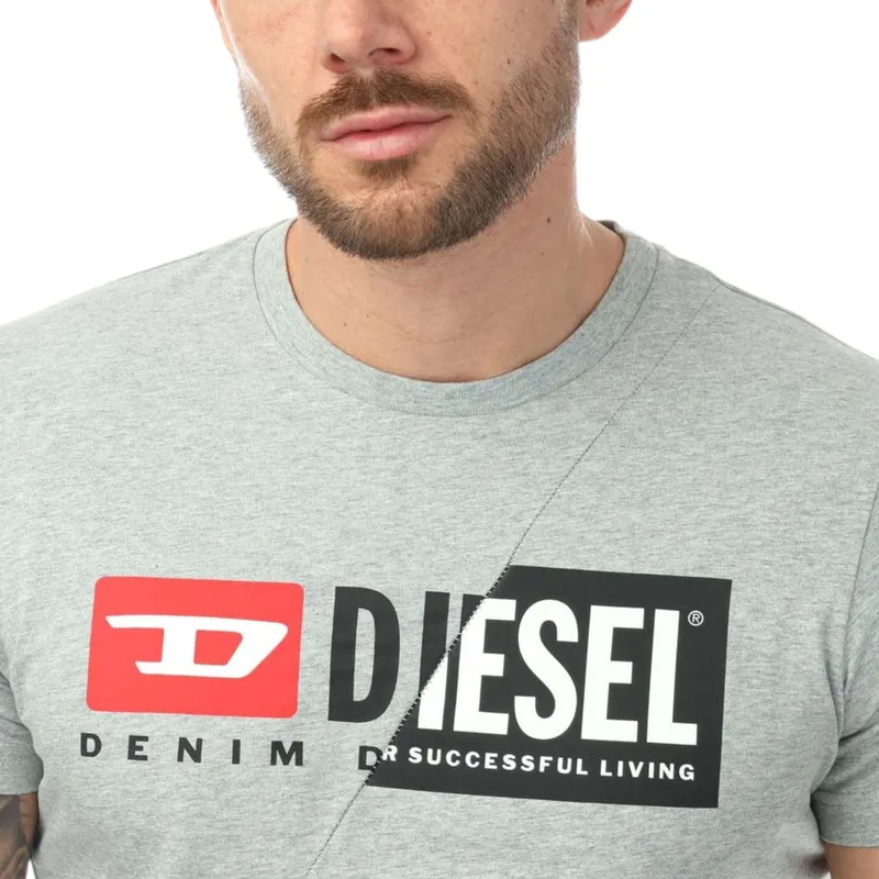 diesel t-diego-cuty logo mens t shirts grey4