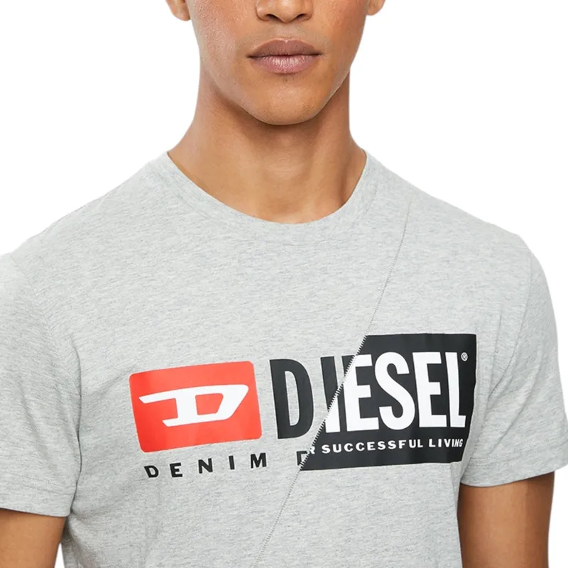 diesel t-diego-cuty logo mens t shirts grey6