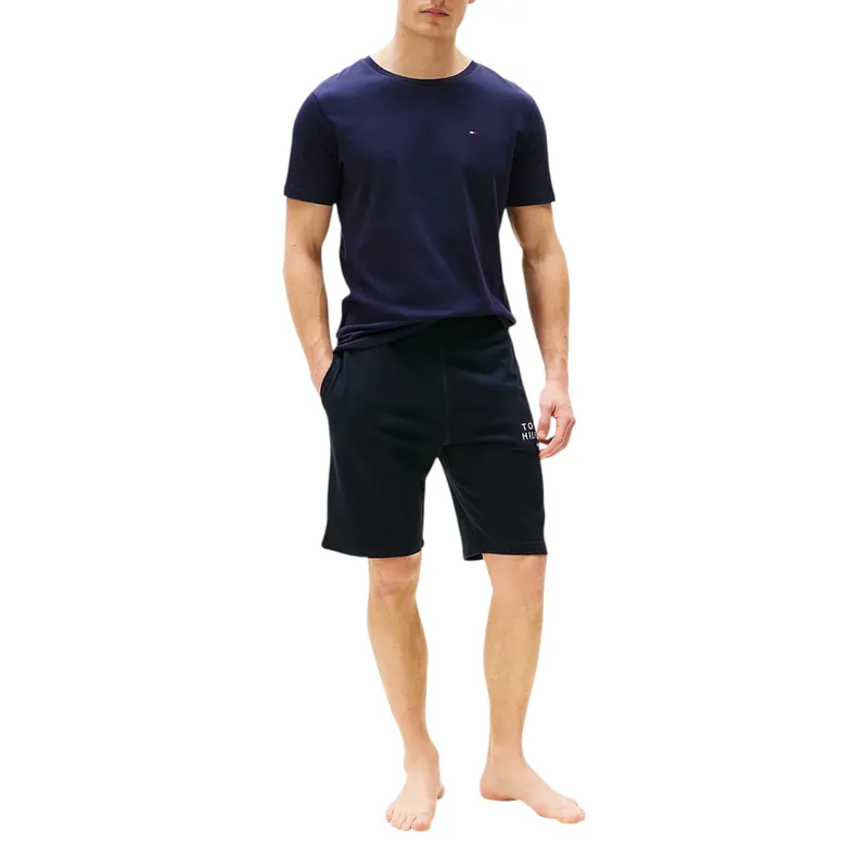 tommy hilfiger 10839 mens t shirts crew neck summer new cotton tee navy blue2