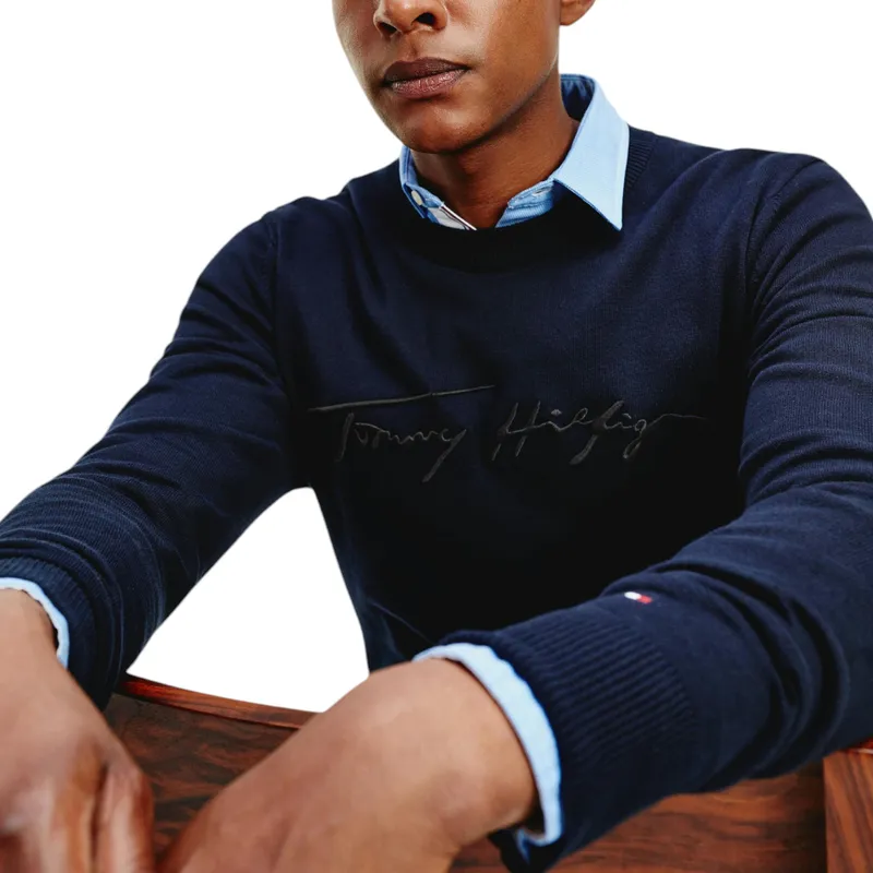 tommy hilfiger mens sweatshirt signature logo fleece pullover blue1