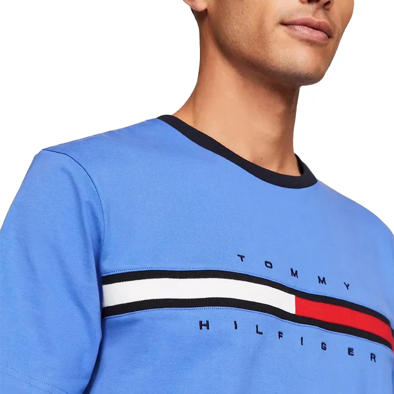 Signature stripe tee tommy hilfiger online